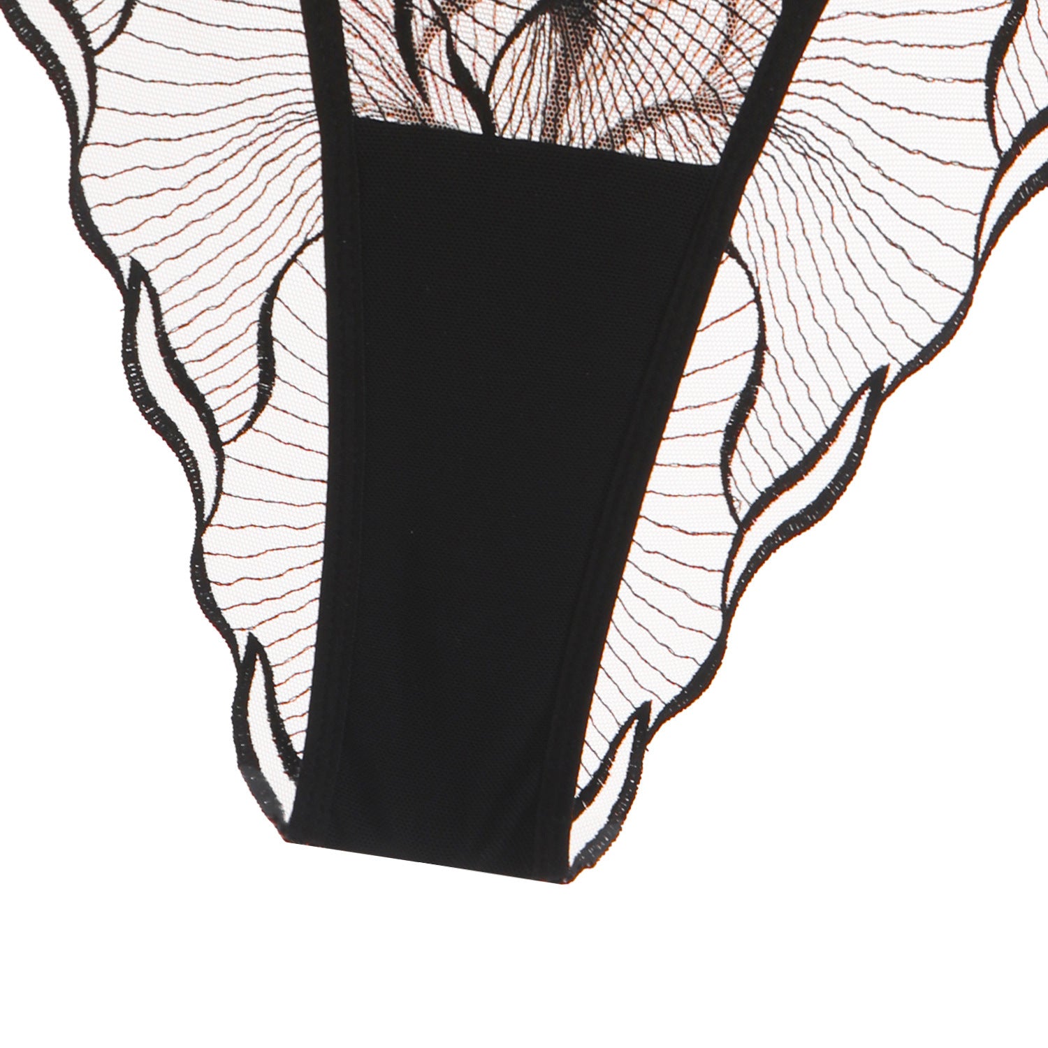 Sheer Lace Embroidered Lingerie Set