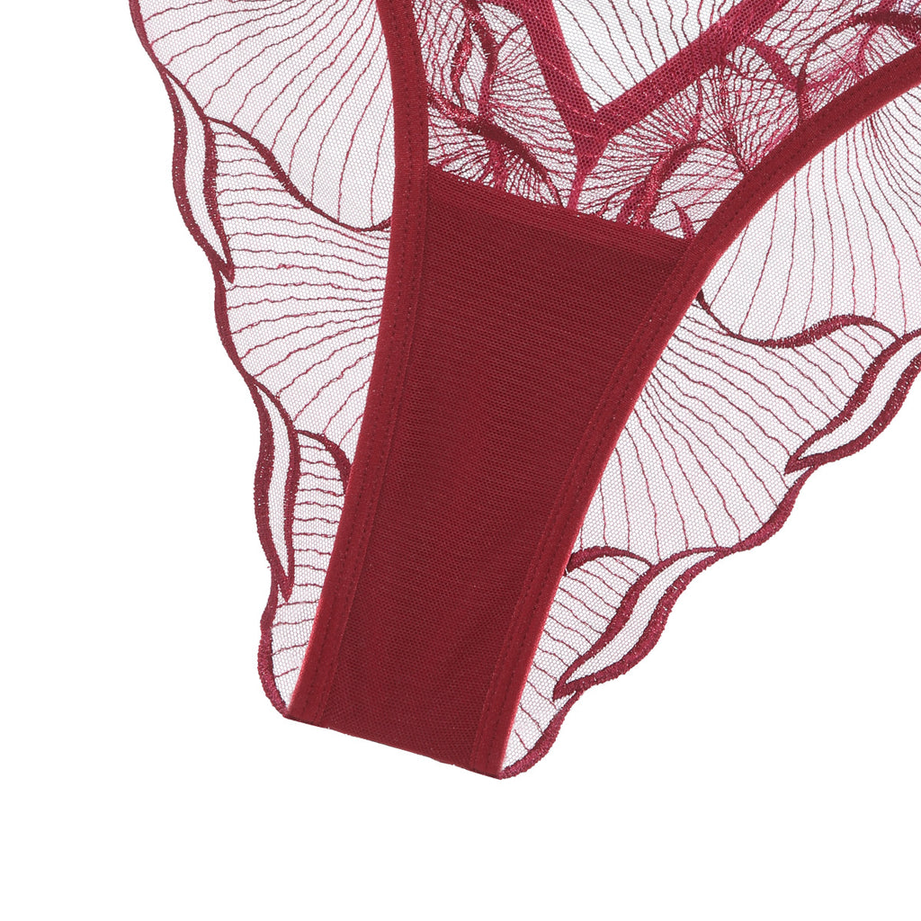 Sheer Lace Embroidered Lingerie Set
