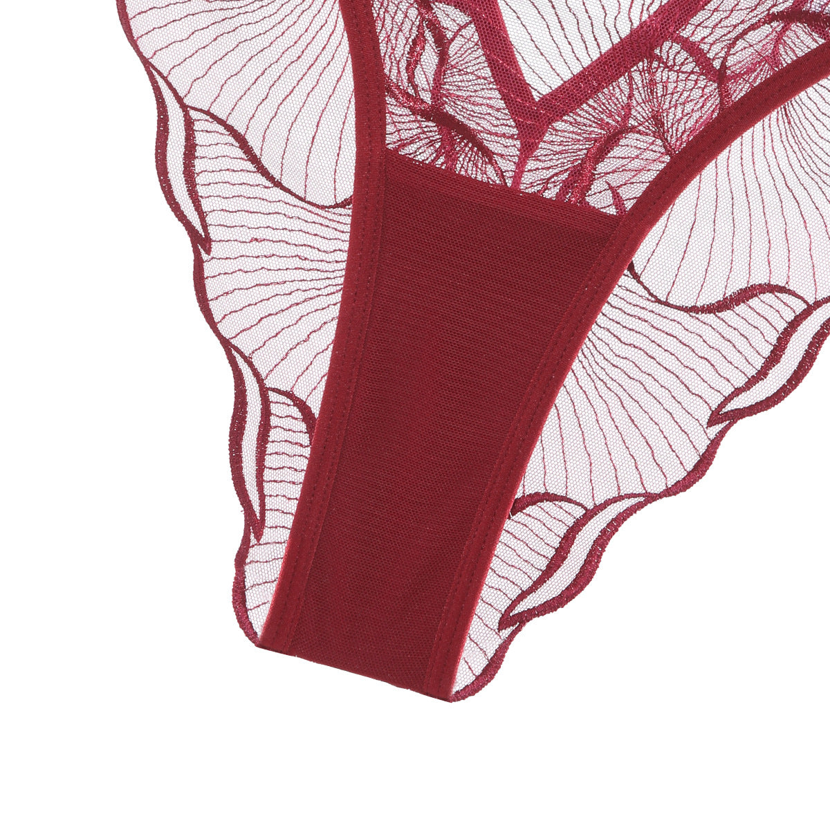 Sheer Lace Embroidered Lingerie Set