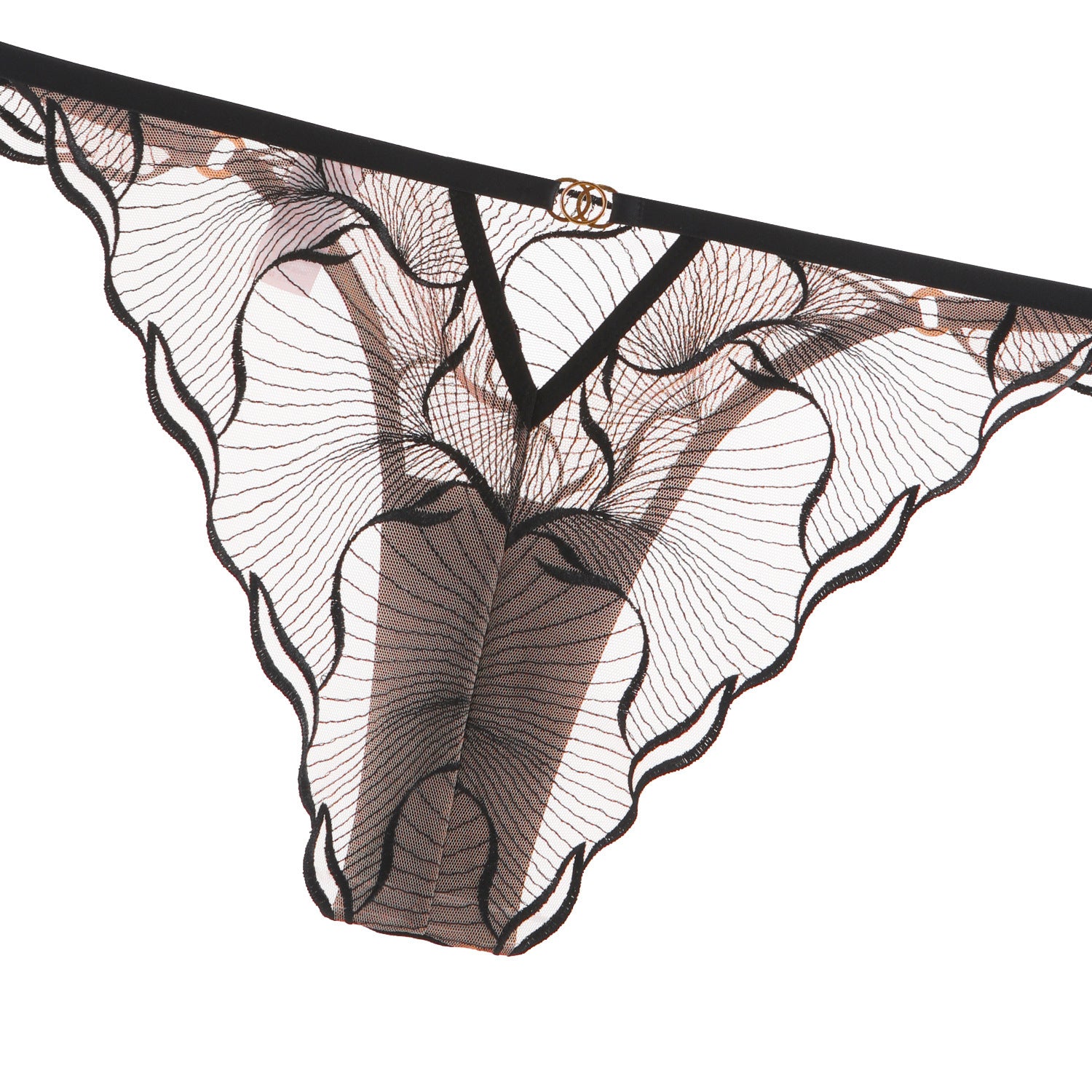 Sheer Lace Embroidered Lingerie Set