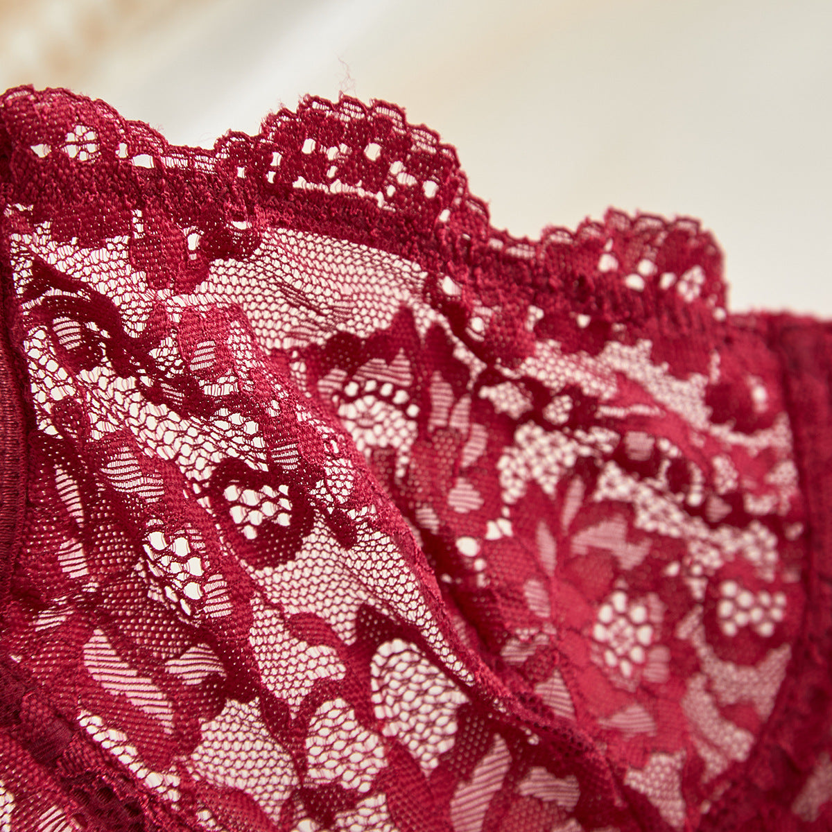 Spaghetti Strap Lace Sheer Sexy Lingerie Set