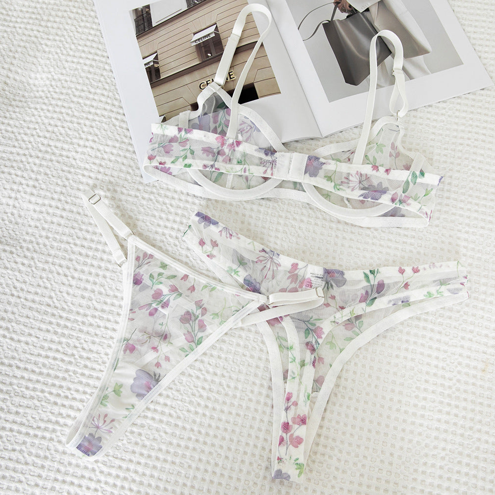 Mesh Print Sheer Lift Bra Set with 2 Pairs of Underwear