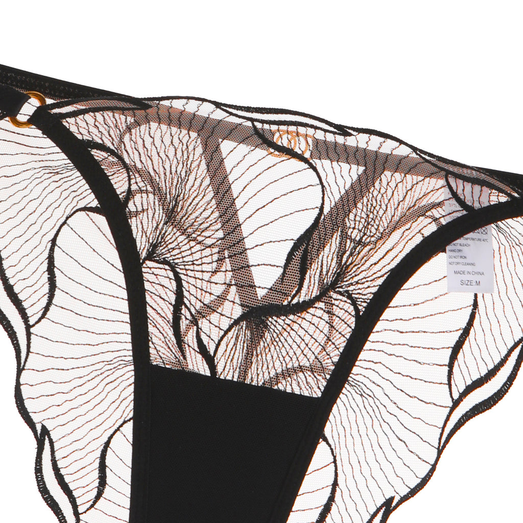 Sheer Lace Embroidered Lingerie Set