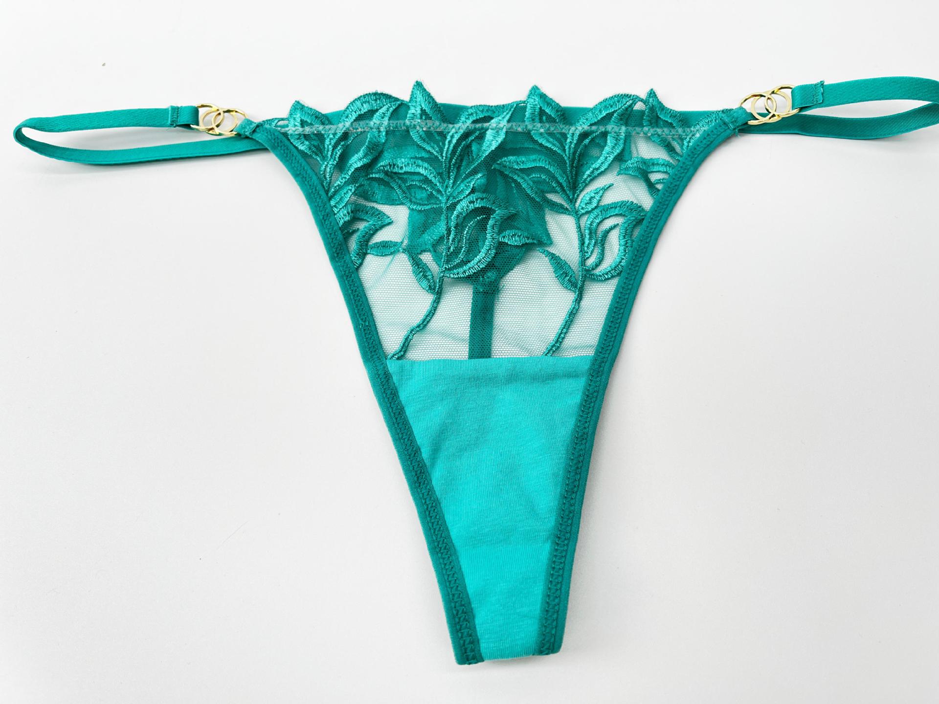 Embroidery Lace Anti-Sag Bra Set – Sheer, Full Coverage, with Thong