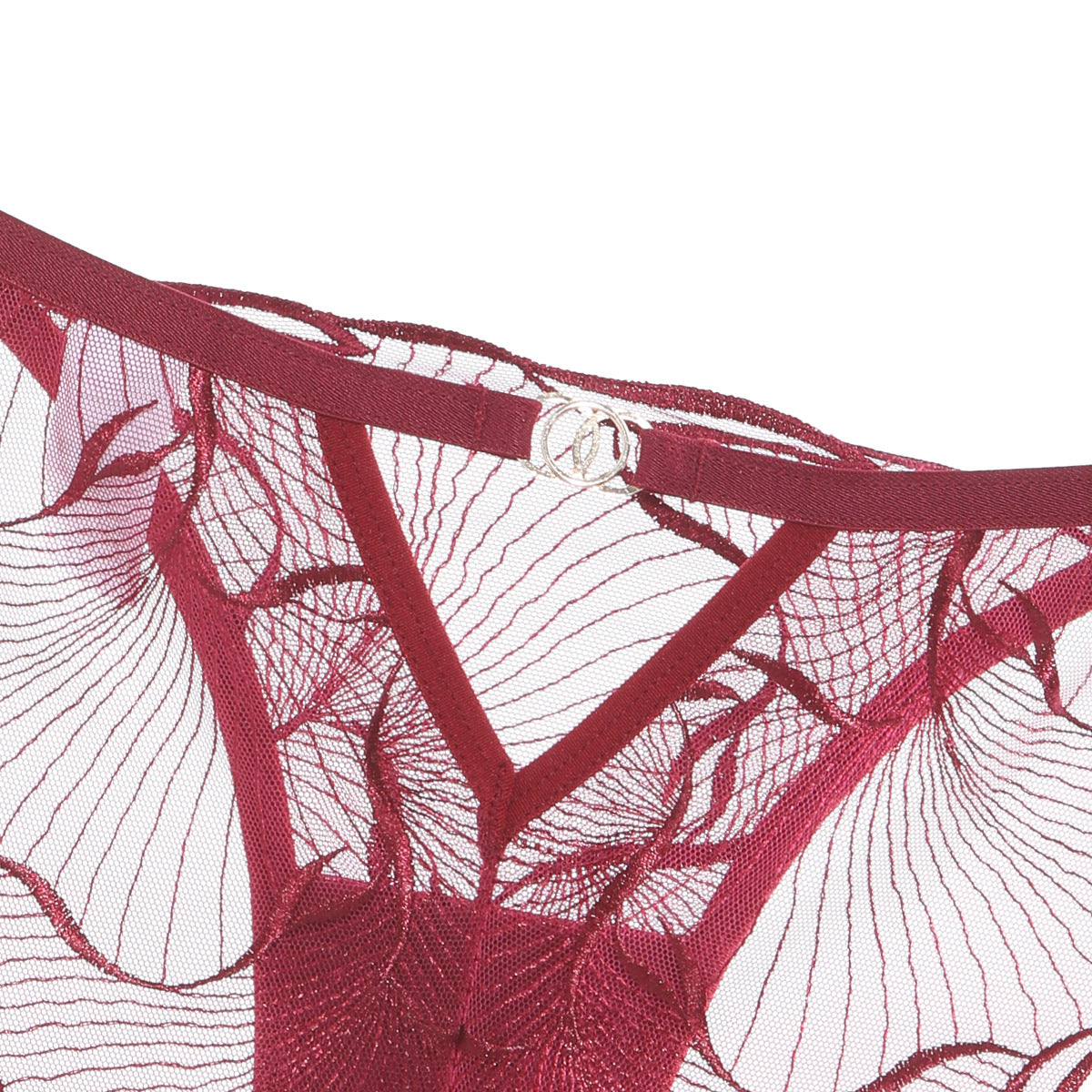 Sheer Lace Embroidered Lingerie Set