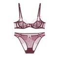 French Sheer Lace Bra Set – Ultra-Thin Mesh, Full Coverage