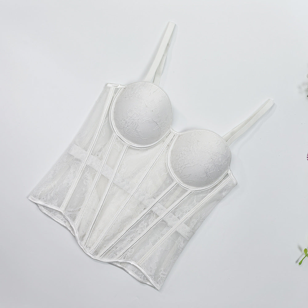 Lace Mesh Waist-Cinching Corset Bustier Top