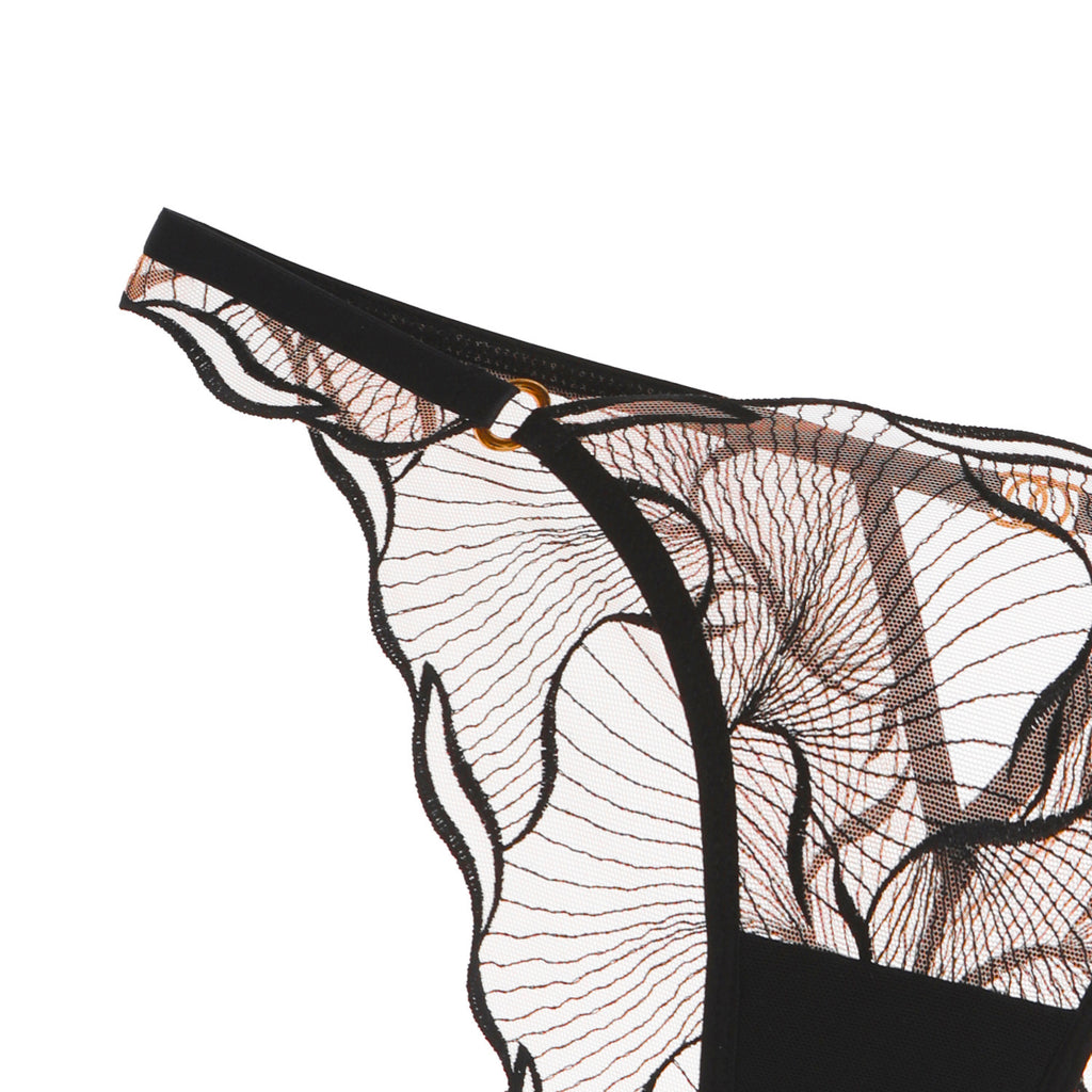 Sheer Lace Embroidered Lingerie Set