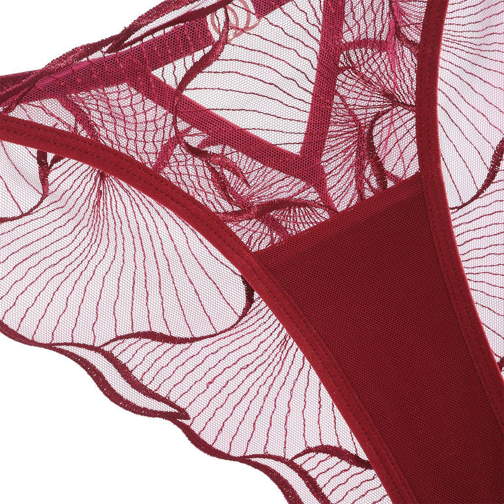Sheer Lace Embroidered Lingerie Set