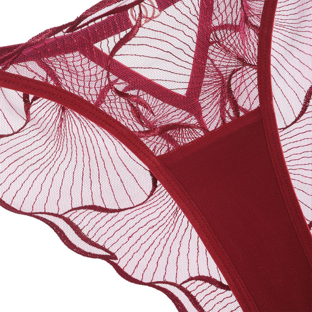 Sheer Lace Embroidered Lingerie Set